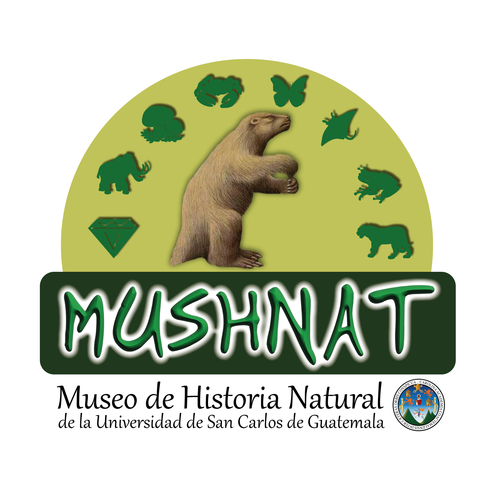 Museo de Historia Natural – USAC